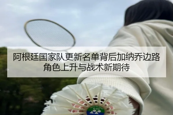 阿根廷国家队更新名单背后加纳乔边路角色上升与战术新期待